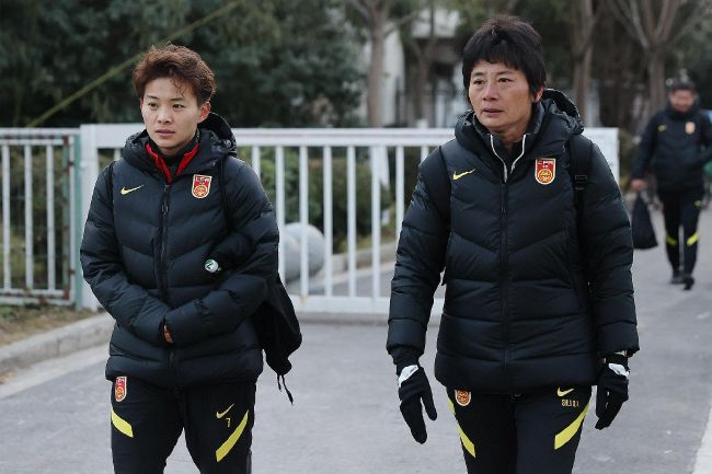 绿野仙踪林视频入口欢迎您