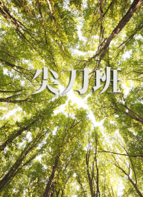 欧美怡红院免费全视频