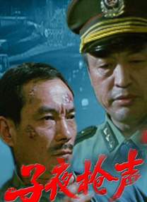 国产欧美二区三区