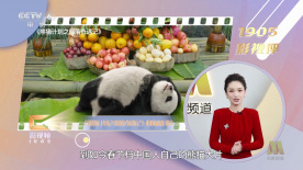 男人桶女人尿口